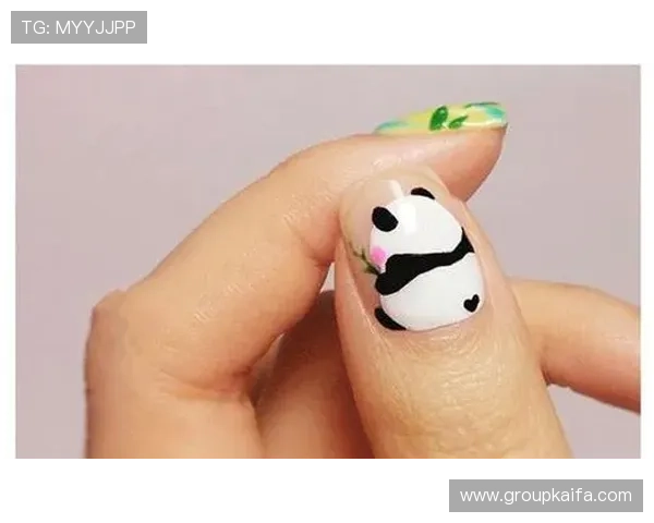 K8凯发网站app账号登录与密码找回的完整操作步骤指南