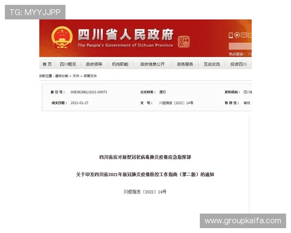 凯发体育平台网页版登录入口官网登录安全保障措施与风险防范指南