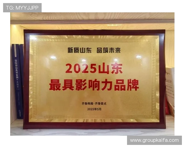 凯发集团娱乐:多渠道推广策略助力品牌影响力快速扩大,赢得市场竞争优势